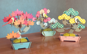 Play Plants Bonsai Puzzles - Sweet Choice