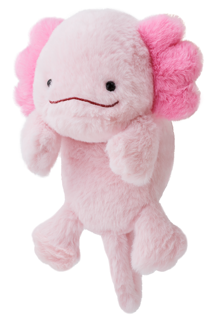 Posture Pal - Blind Box Choice