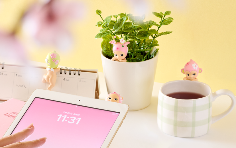 HIPPERS Cherry Blossom Series - Modern Display