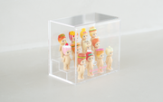 Sonny Angel Acrylic Display Case - Studio Display
