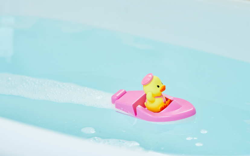 Duck Sailor Boat - Daily Choice