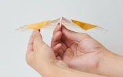 Papillon Origami Airplanes - Gift Ready