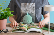 Posture Pal - Dinosaur - Shelf Display