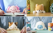 Posture Pal - Blind Box Choice