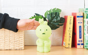 SMISKI Touch Light - Gift Ready
