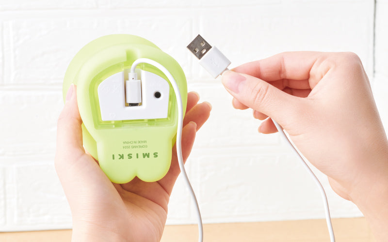 SMISKI Touch Light - Gift Ready