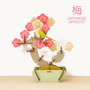 Play Plants Bonsai Puzzles - Sweet Choice