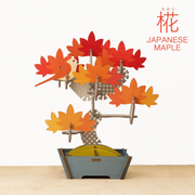 Play Plants Bonsai Puzzles - Sweet Choice
